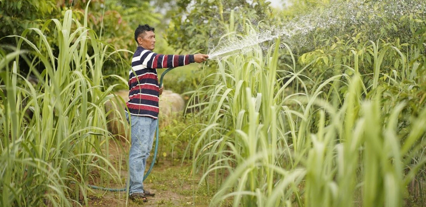 Evaluating Agricultural Training Programs Across Africa and Asia – Cambodia